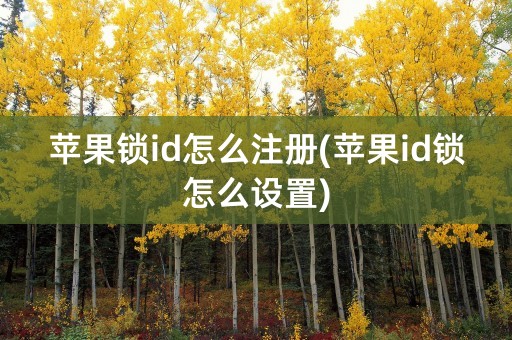 苹果锁id怎么注册(苹果id锁怎么设置)