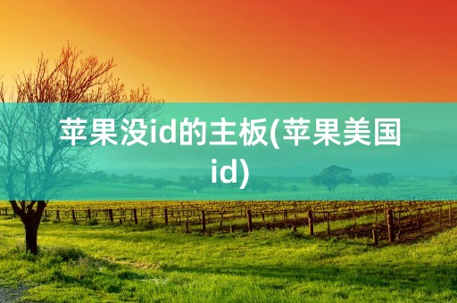 苹果没id的主板(苹果美国id)