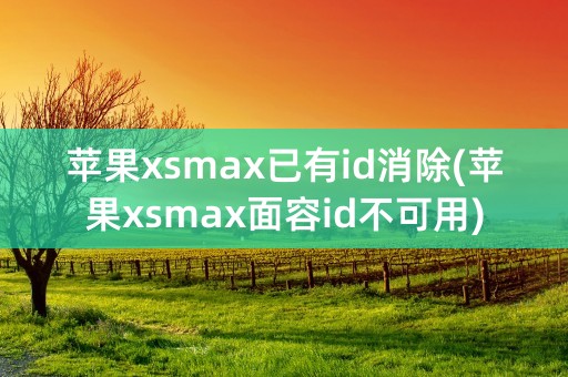 苹果xsmax已有id消除(苹果xsmax面容id不可用)