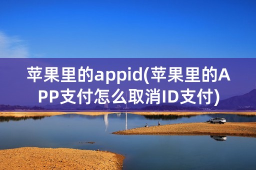 苹果里的appid(苹果里的APP支付怎么取消ID支付)