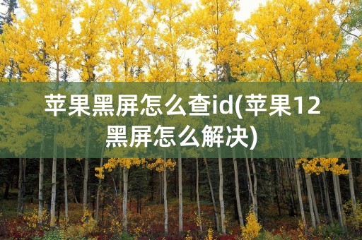 苹果黑屏怎么查id(苹果12黑屏怎么解决)