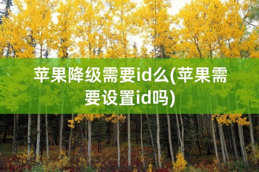 苹果降级需要id么(苹果需要设置id吗)