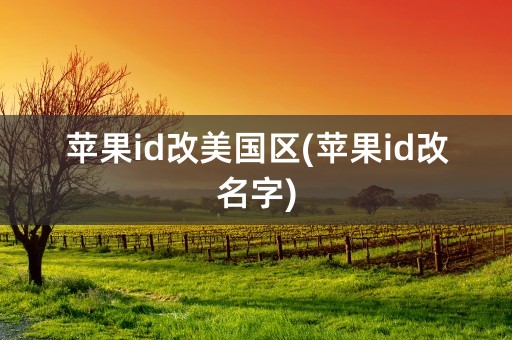 苹果id改美国区(苹果id改名字)