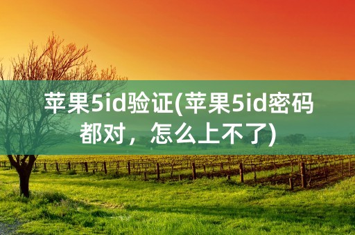 苹果5id验证(苹果5id密码都对，怎么上不了)