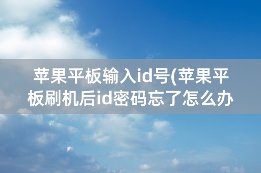 苹果平板输入id号(苹果平板刷机后id密码忘了怎么办)