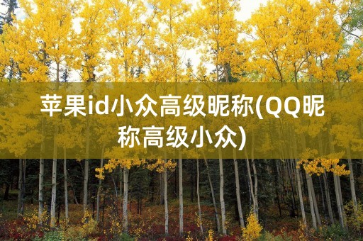 苹果id小众高级昵称(QQ昵称高级小众)