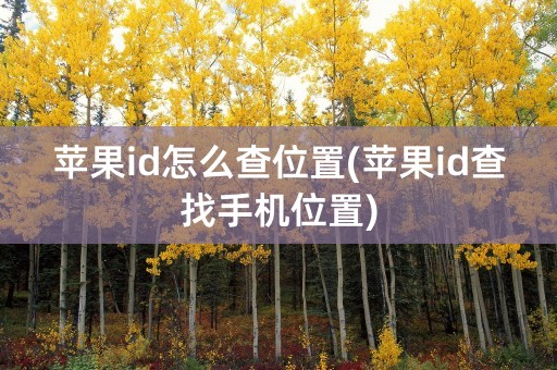 苹果id怎么查位置(苹果id查找手机位置)