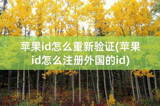 苹果id怎么重新验证(苹果id怎么注册外国的id)