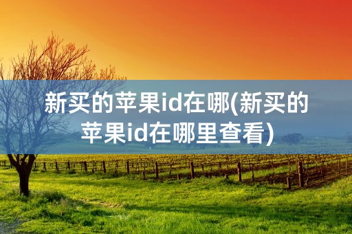 新买的苹果id在哪(新买的苹果id在哪里查看)