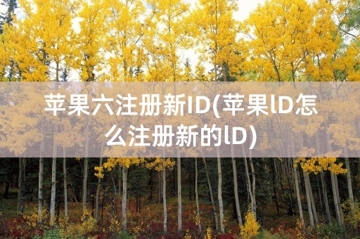 苹果六注册新ID(苹果lD怎么注册新的lD)