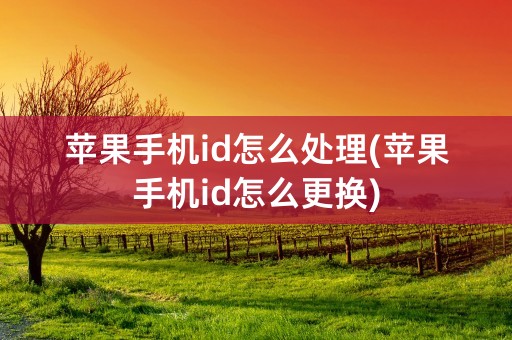 苹果手机id怎么处理(苹果手机id怎么更换)