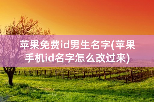 苹果免费id男生名字(苹果手机id名字怎么改过来)