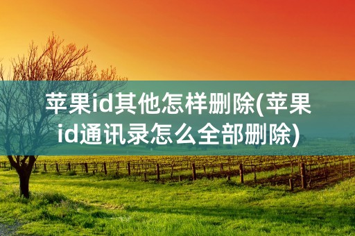 苹果id其他怎样删除(苹果id通讯录怎么全部删除)