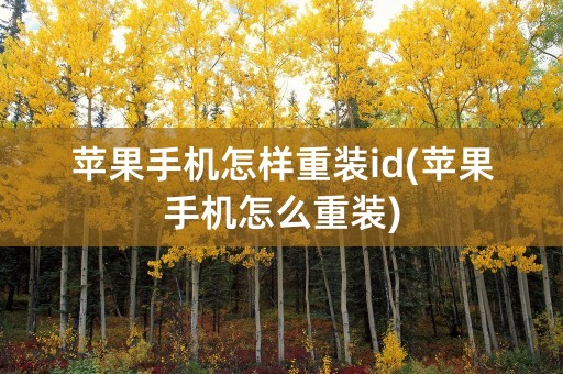 苹果手机怎样重装id(苹果手机怎么重装)