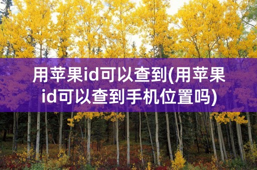 用苹果id可以查到(用苹果id可以查到手机位置吗)