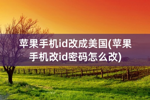 苹果手机id改成美国(苹果手机改id密码怎么改)