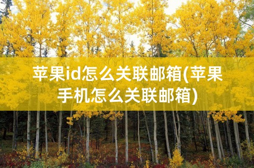 苹果id怎么关联邮箱(苹果手机怎么关联邮箱)