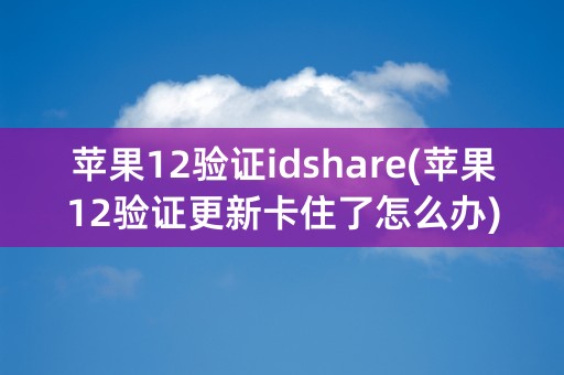 苹果12验证idshare(苹果12验证更新卡住了怎么办)