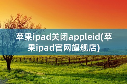 苹果ipad关闭appleid(苹果ipad官网旗舰店)