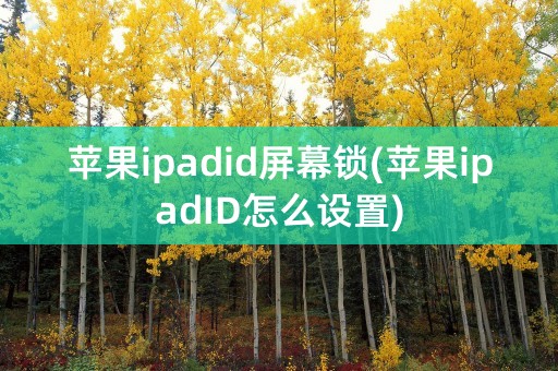 苹果ipadid屏幕锁(苹果ipadID怎么设置)