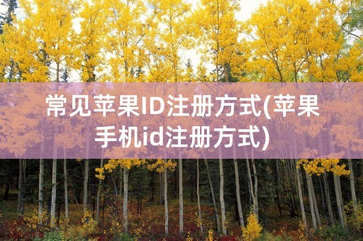 常见苹果ID注册方式(苹果手机id注册方式)