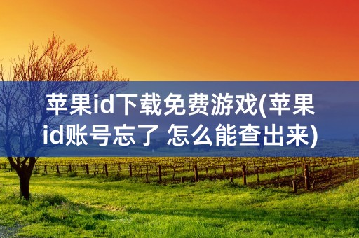 苹果id下载免费游戏(苹果id账号忘了 怎么能查出来)