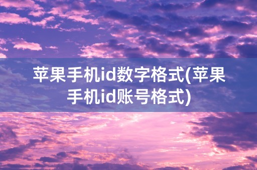 苹果手机id数字格式(苹果手机id账号格式)