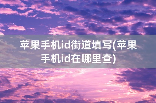 苹果手机id街道填写(苹果手机id在哪里查)