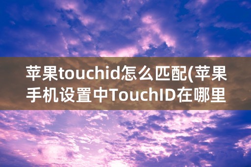 苹果touchid怎么匹配(苹果手机设置中TouchID在哪里)