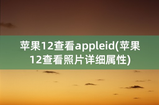 苹果12查看appleid(苹果12查看照片详细属性)