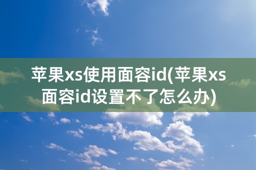 苹果xs使用面容id(苹果xs面容id设置不了怎么办)