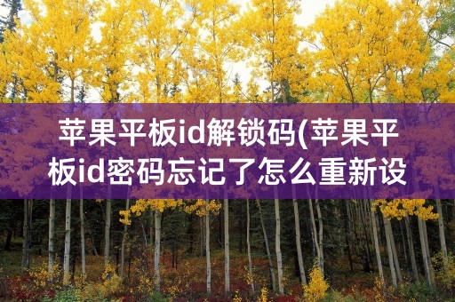 苹果平板id解锁码(苹果平板id密码忘记了怎么重新设置)