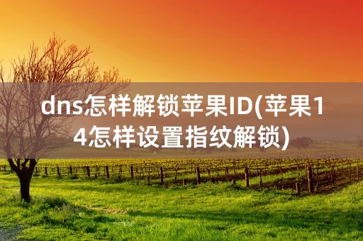 dns怎样解锁苹果ID(苹果14怎样设置指纹解锁)