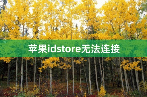 苹果idstore无法连接