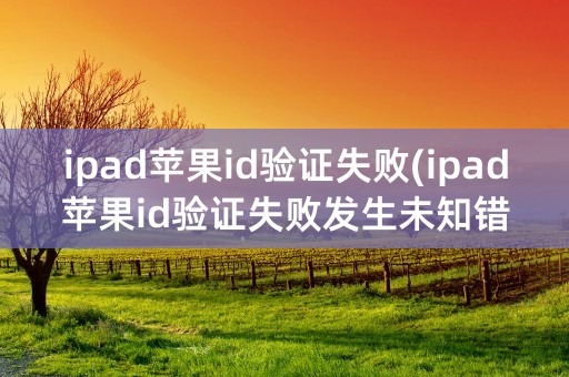 ipad苹果id验证失败(ipad苹果id验证失败发生未知错误)