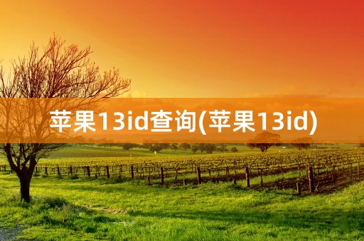 苹果13id查询(苹果13id)