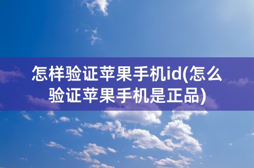 怎样验证苹果手机id(怎么验证苹果手机是正品)