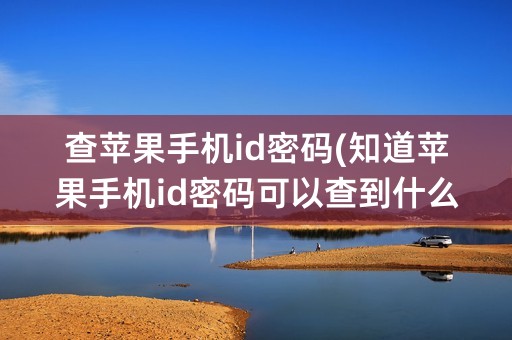 查苹果手机id密码(知道苹果手机id密码可以查到什么)