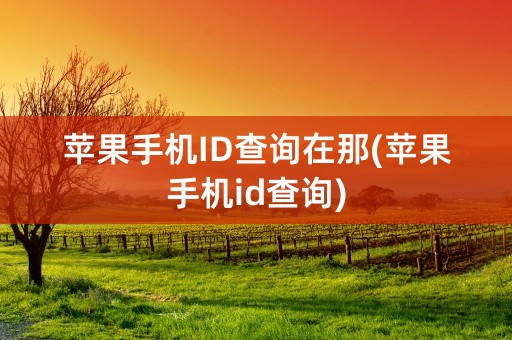 苹果手机ID查询在那(苹果手机id查询)