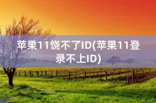 苹果11饶不了ID(苹果11登录不上ID)