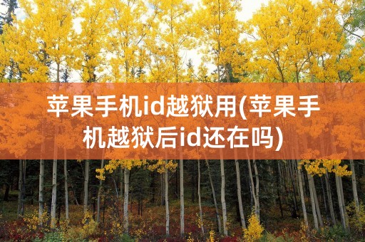 苹果手机id越狱用(苹果手机越狱后id还在吗)