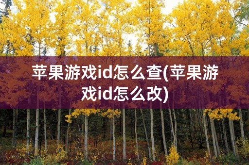 苹果游戏id怎么查(苹果游戏id怎么改)