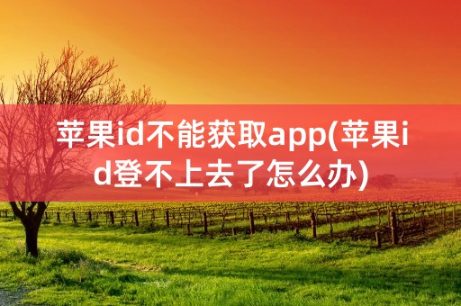 苹果id不能获取app(苹果id登不上去了怎么办)