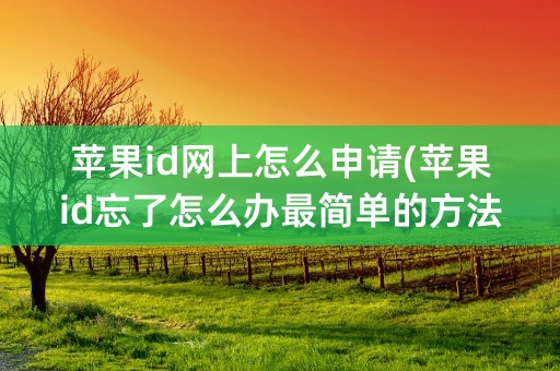 苹果id网上怎么申请(苹果id忘了怎么办最简单的方法)