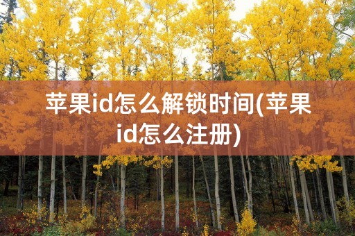 苹果id怎么解锁时间(苹果id怎么注册)