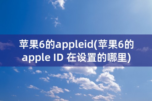 苹果6的appleid(苹果6的apple ID 在设置的哪里)