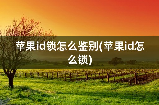 苹果id锁怎么鉴别(苹果id怎么锁)