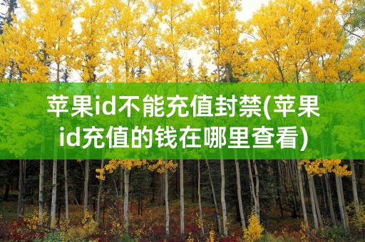 苹果id不能充值封禁(苹果id充值的钱在哪里查看)