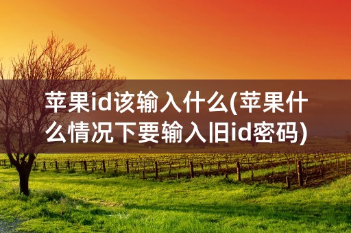 苹果id该输入什么(苹果什么情况下要输入旧id密码)