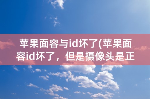 苹果面容与id坏了(苹果面容id坏了，但是摄像头是正常的)